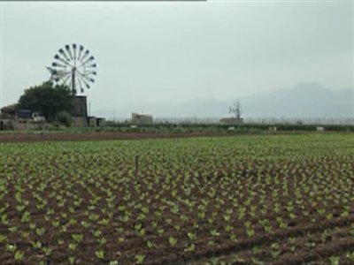 MOLINO (30)  CAMPO APEROS